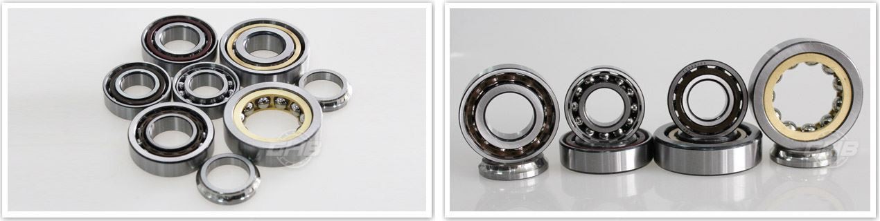 double row full complement cylindrical