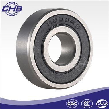 6016 2RS-Peilung