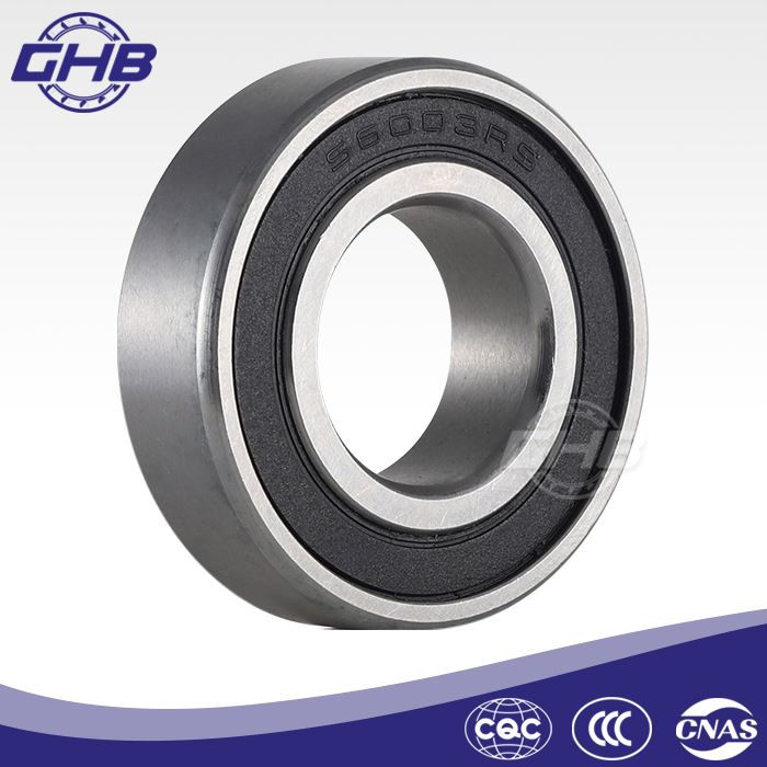 stainless steel bearings